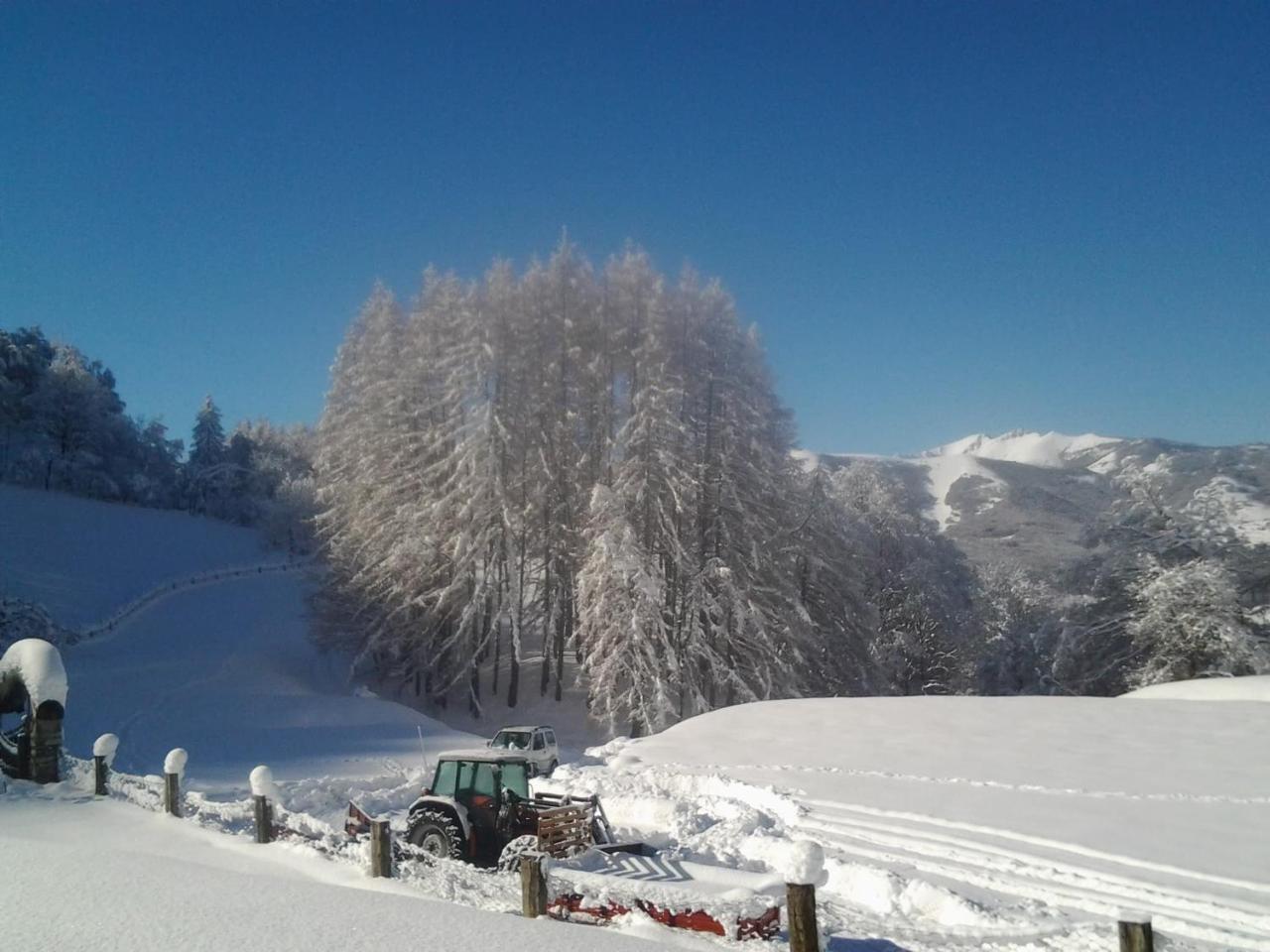 Agroturismo Le Radici