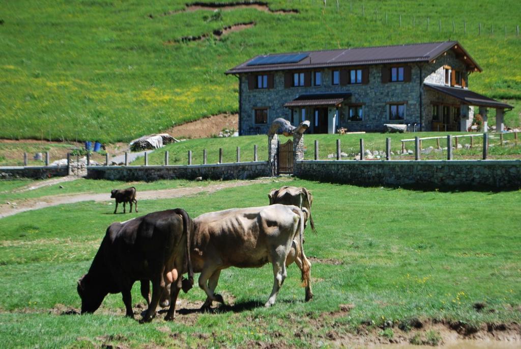 Séjour à la ferme Le Radici