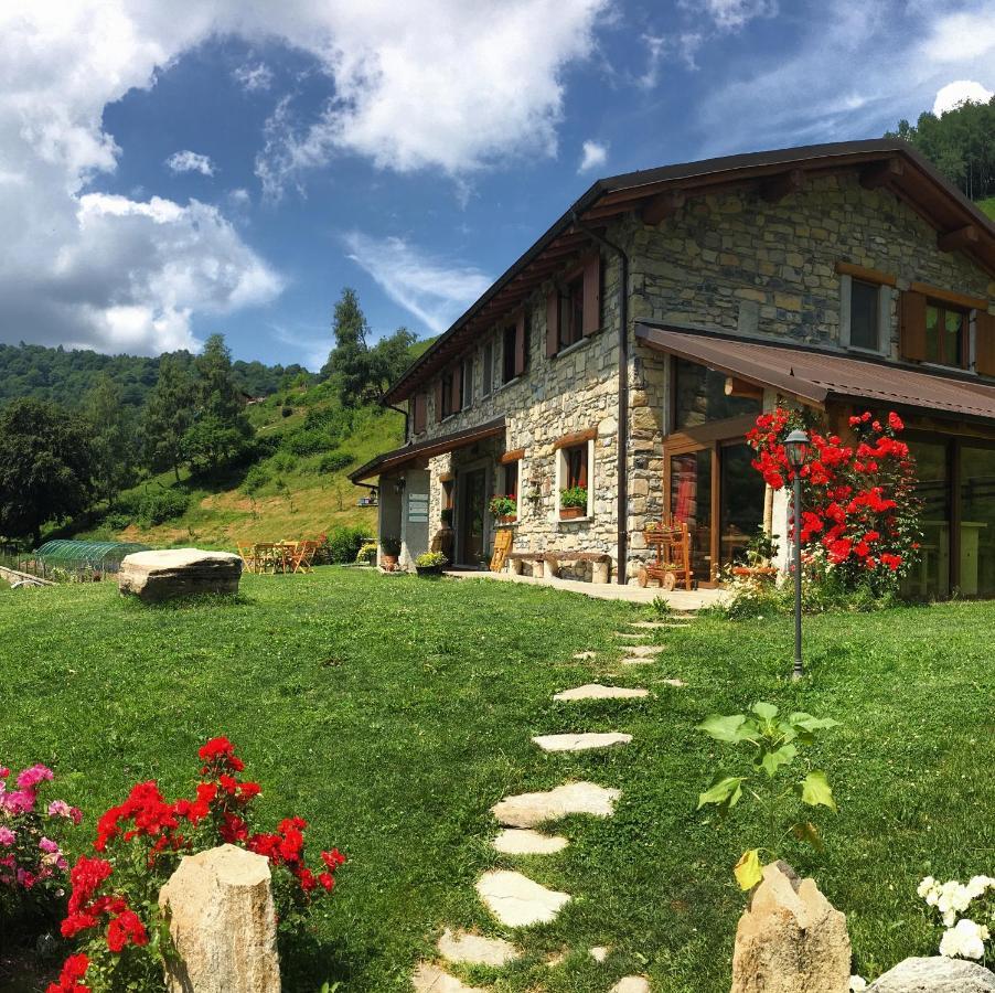 Le Radici Séjour à la ferme